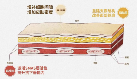 部分童颜产品的原理解析
